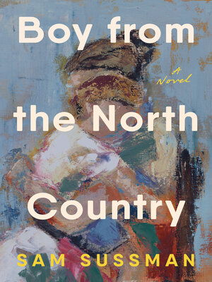 cover image of Boy from the North Country